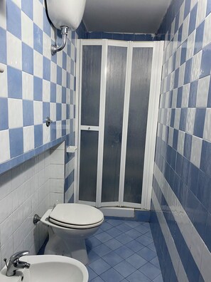 Shower, hair dryer, bidet, towels