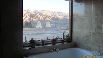 Shower, jetted bath, hair dryer, bidet