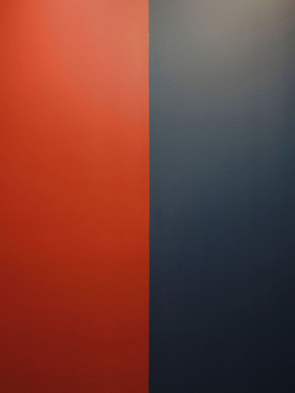 Foto - Rose - Hôtel Invisible