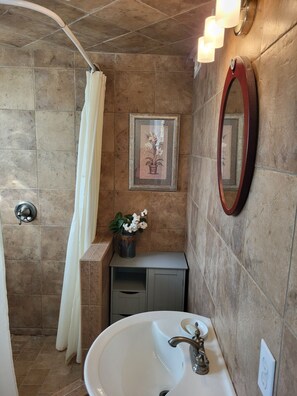 Hair dryer, towels, soap, shampoo