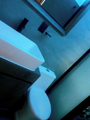 Shower, eco-friendly toiletries, hair dryer, towels