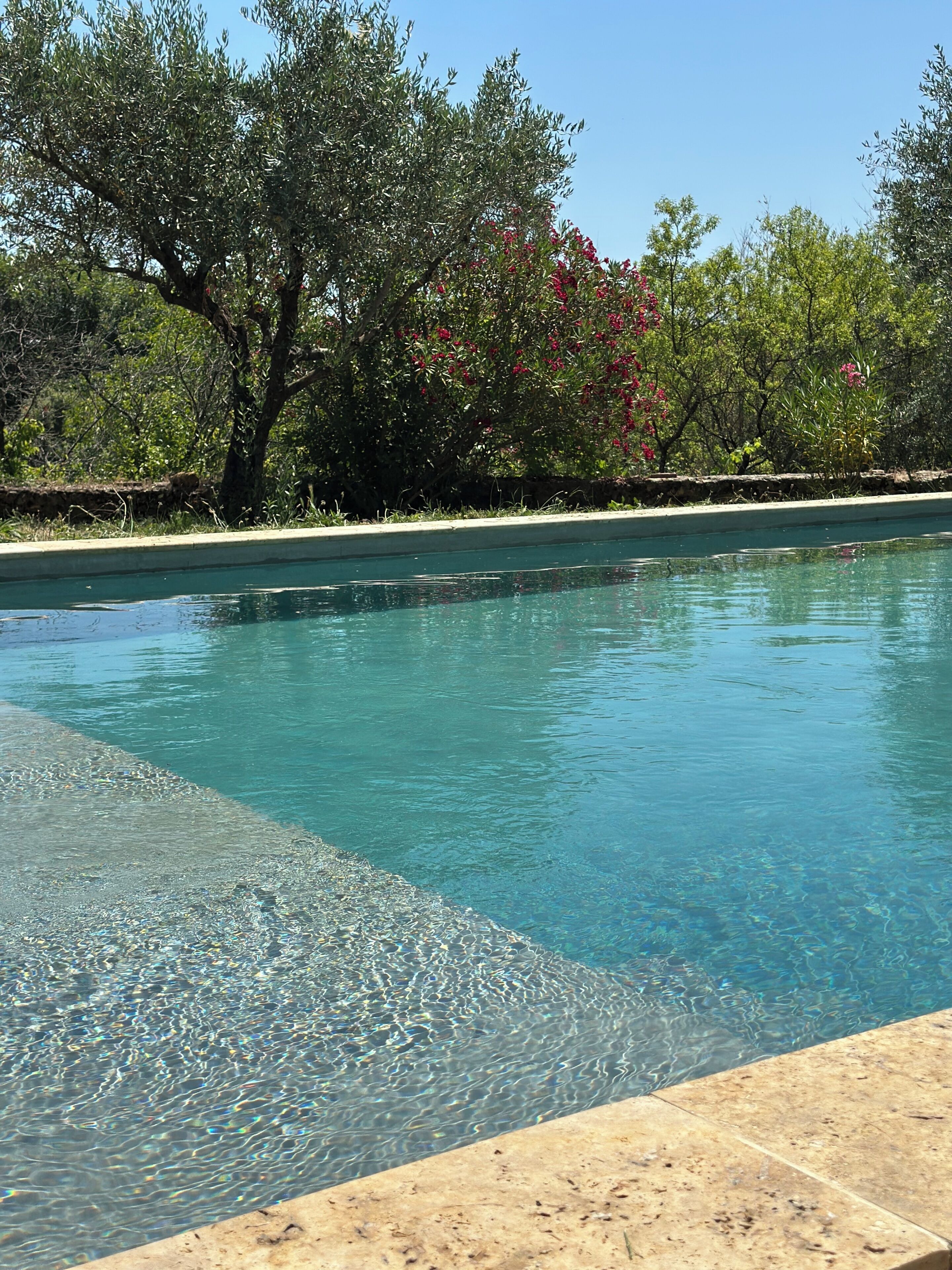 Une piscine aux eaux cristallines, bordée de pierres, entourée d’arbres et de verdure.