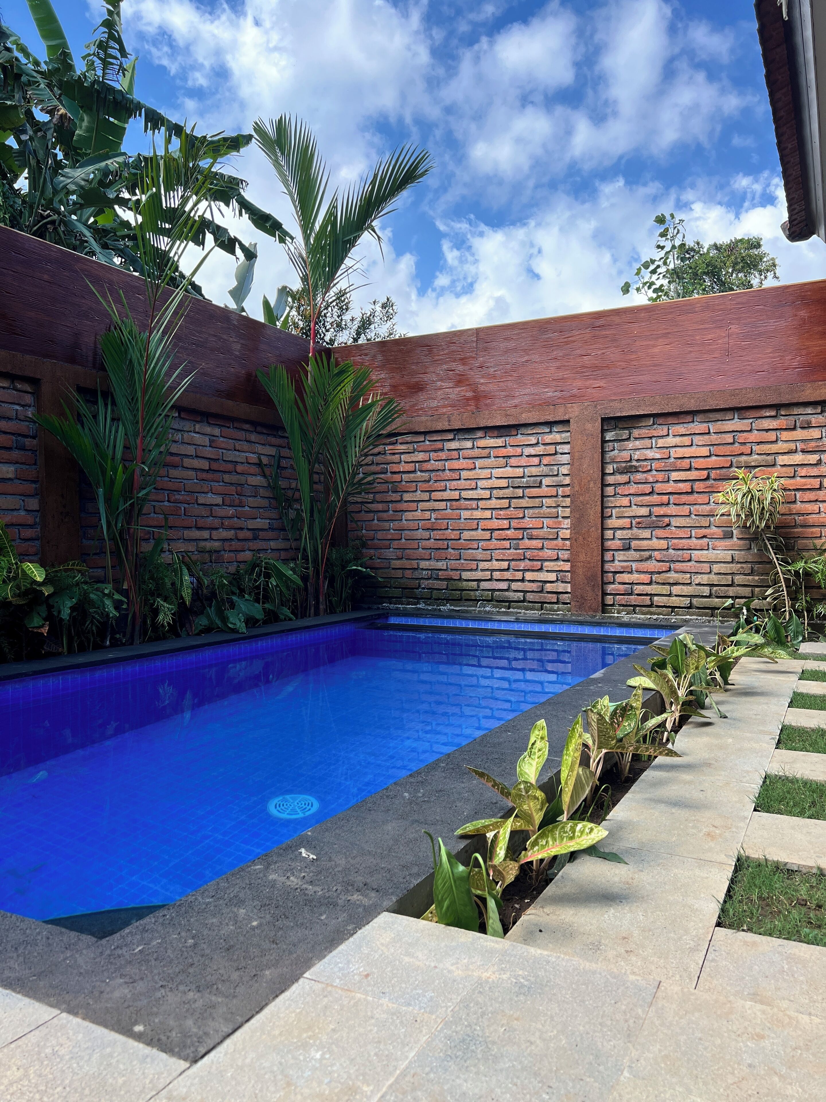 Une piscine bordée d’un mur en briques et agrémentée de plantes tropicales.