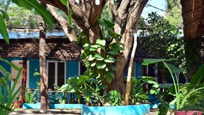 A courtyard with a thatched-roof building, potted plants, and a blue wall. - La Neisha hotel Nungwi (Nungwi)