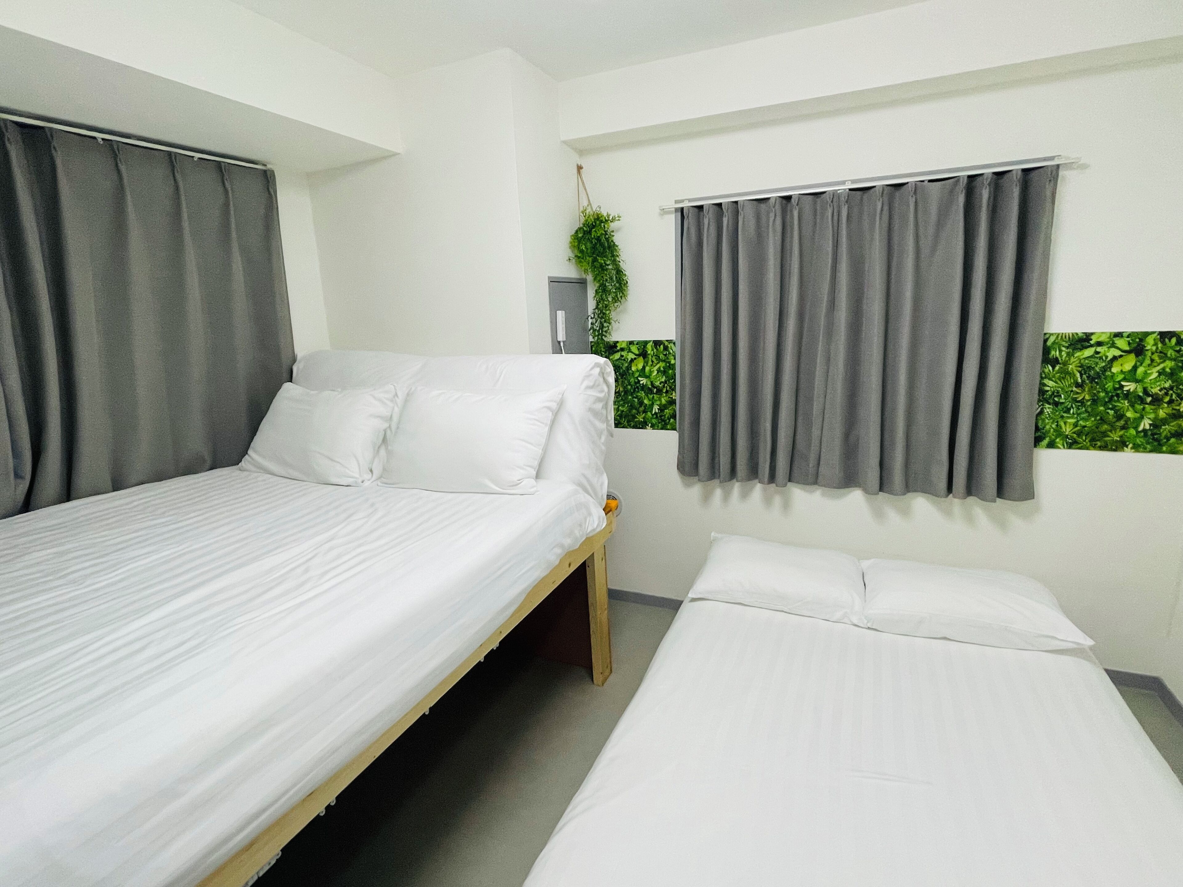 A room with two beds, grey curtains, a small plant, and a window with a green view.