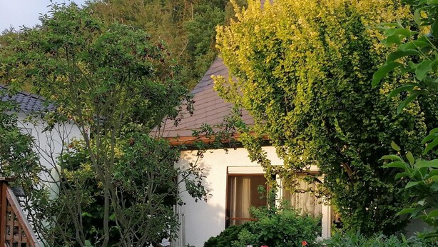 A white building with a tiled roof, surrounded by dense greenery and trees. - Apartment 'Haus Am Waldrand' with Mountain View, Private Terrace and Wi-Fi (Freital)