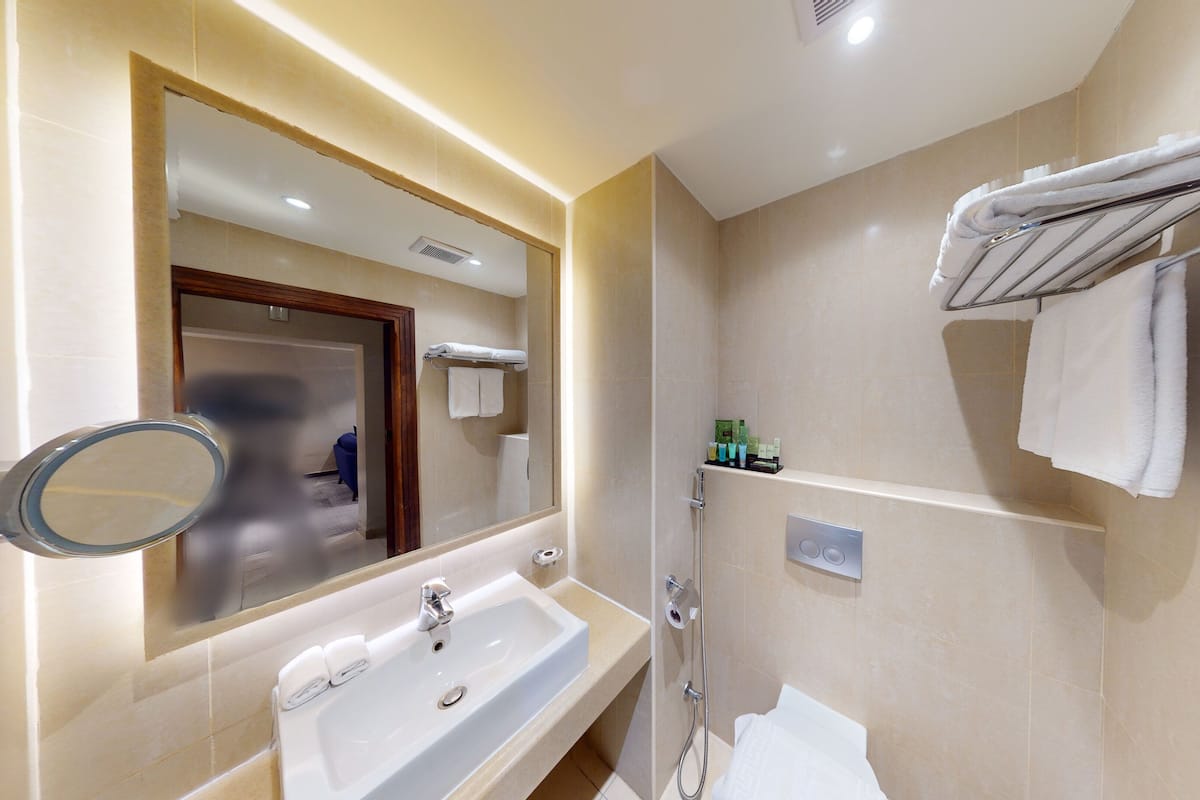 A modern bathroom with a sink, mirror, and towel rack.
