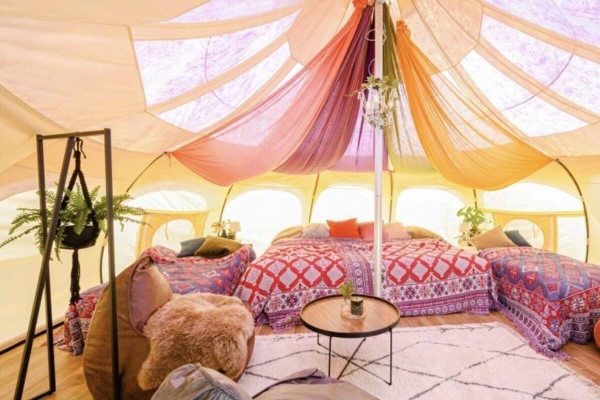 Ein Zeltraum mit Bett, Kissen, einem kleinen Tisch und hängenden Pflanzen.