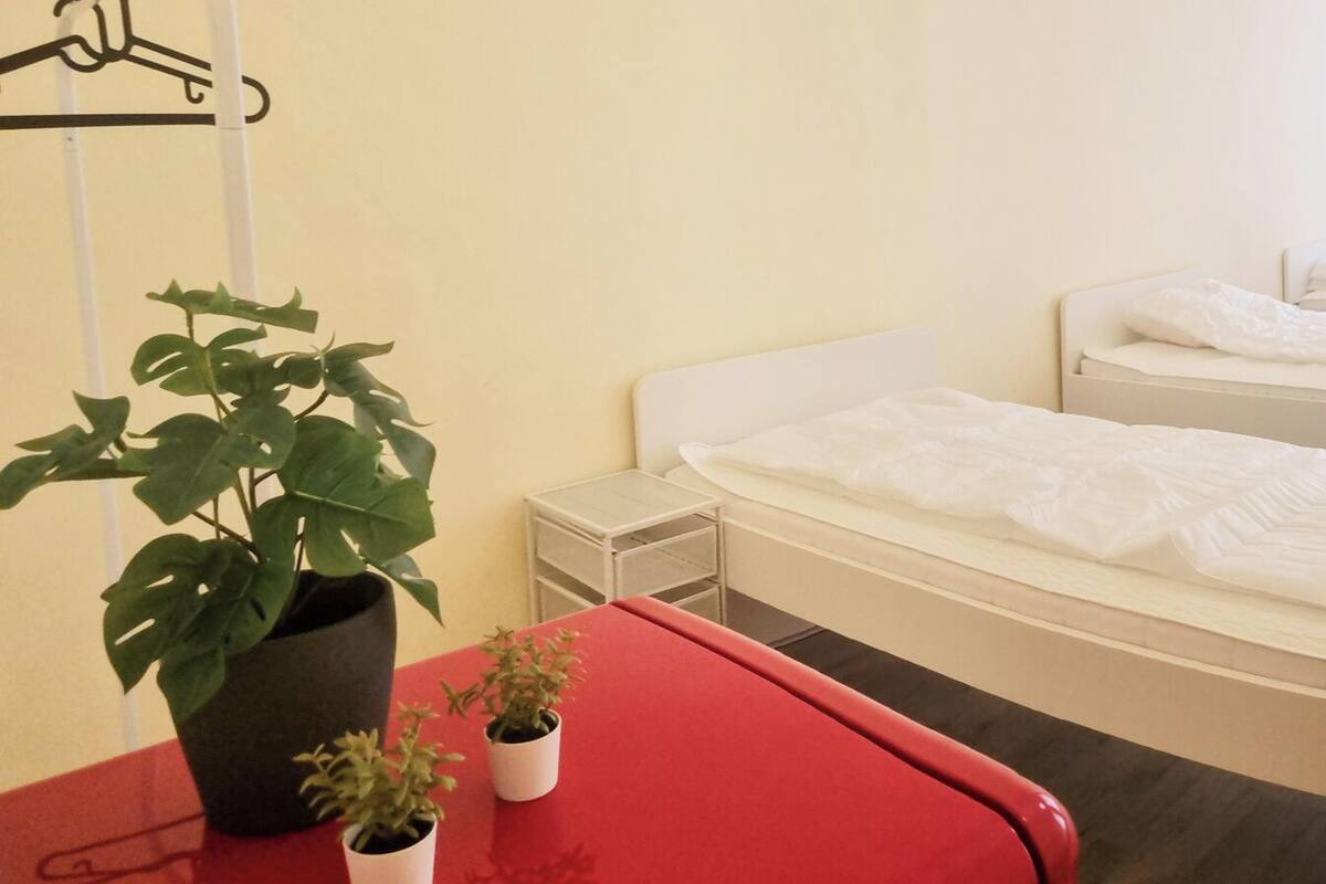 A hotel room with four single beds, a small table with a red chair, a potted plant, and a wall-mounted coat rack.