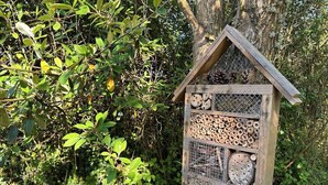 Una casita de pájaros de madera con varios compartimentos para anidar, sujeta a un árbol.