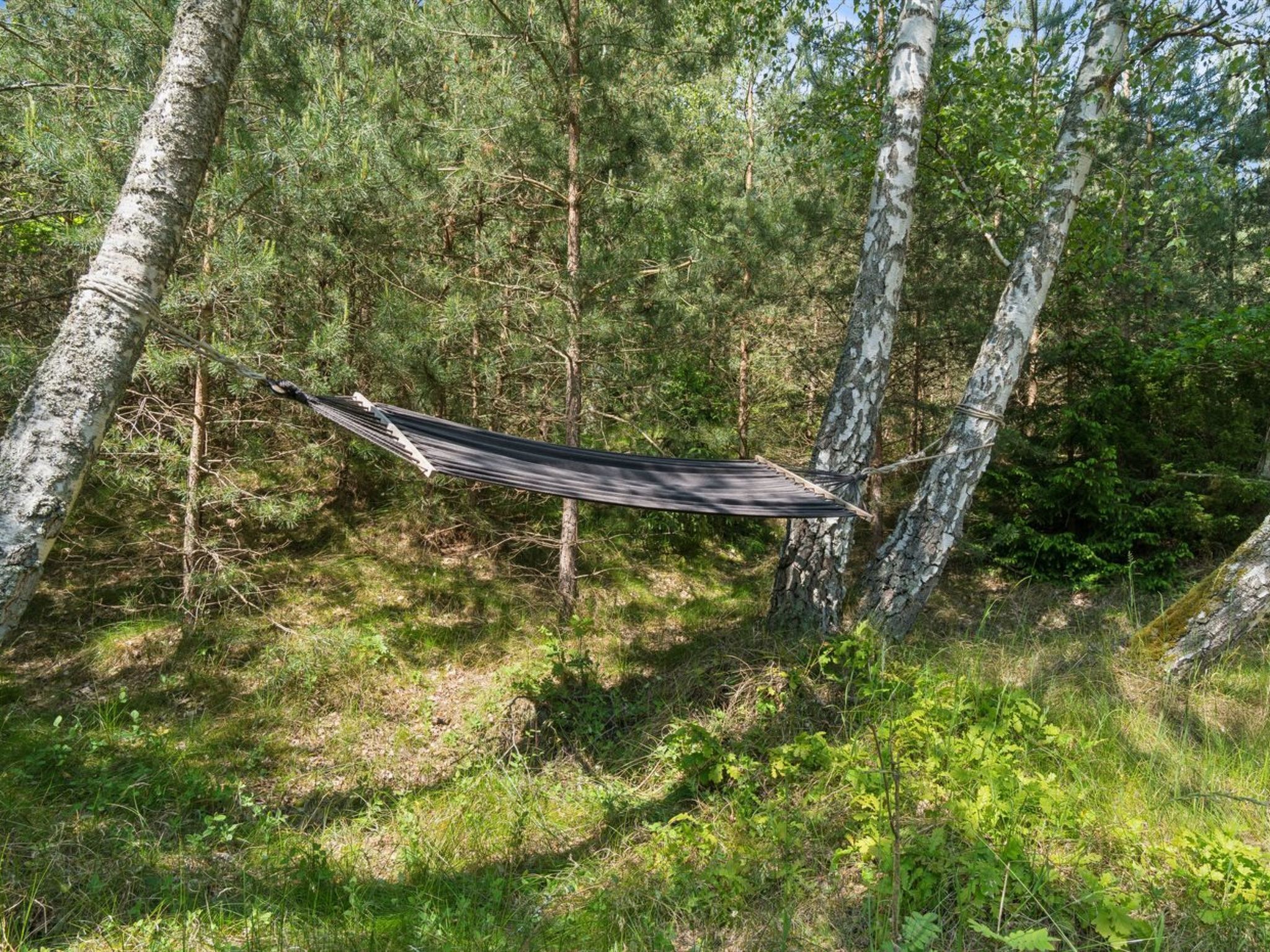 A hammock suspended between trees in a forested area.