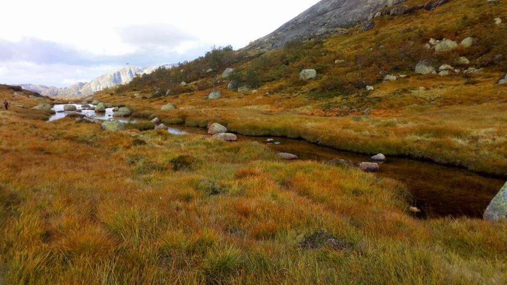 A natural landscape with a stream, grassy terrain, and rocky outcrops.