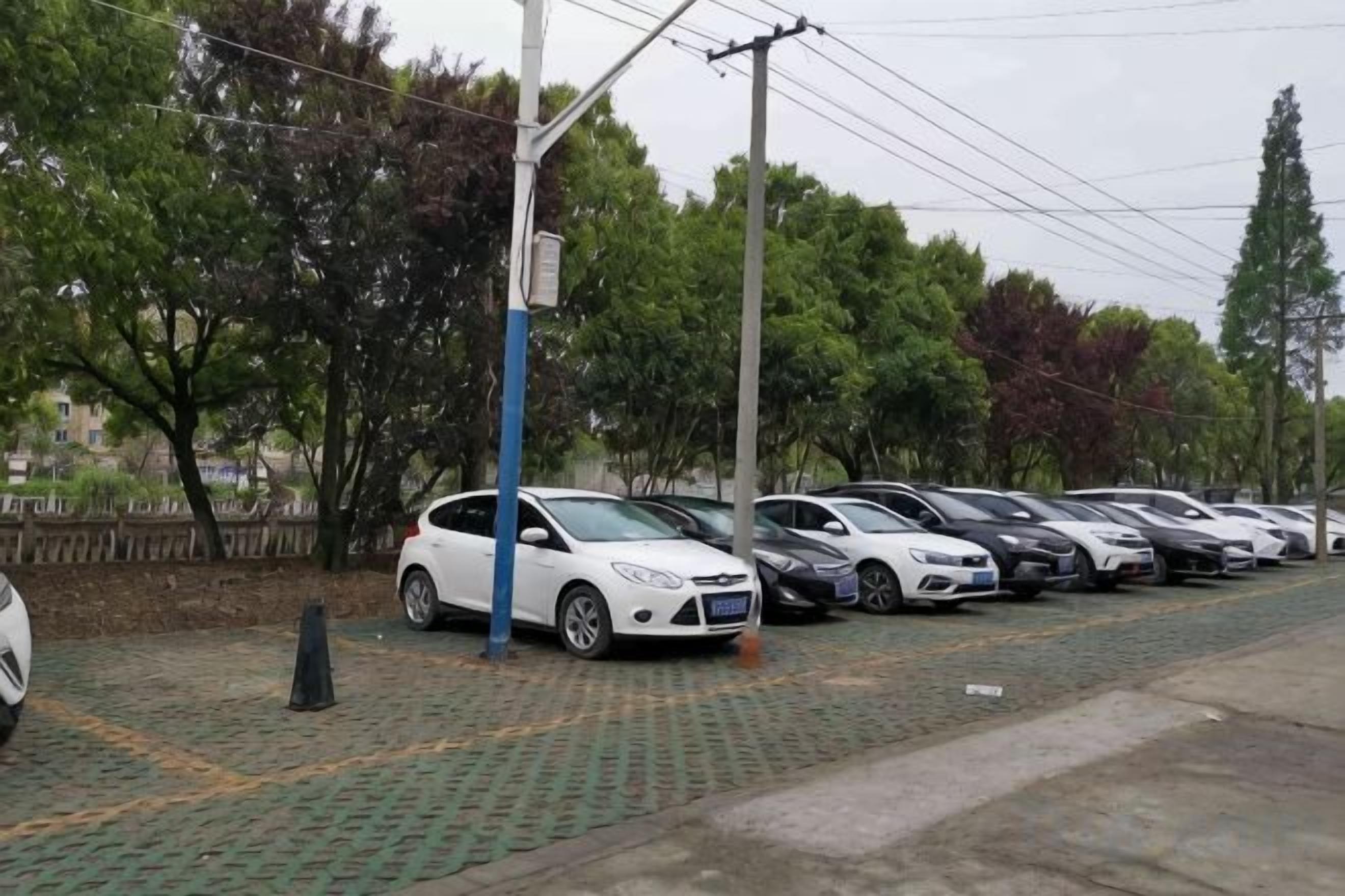 Una fila de autos estacionados a lo largo de una calle pavimentada, con árboles al fondo.