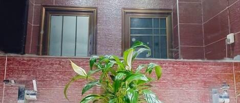 Un baño con dos lavamanos, una planta en maceta y una ventana con diseño de cuadrícula.