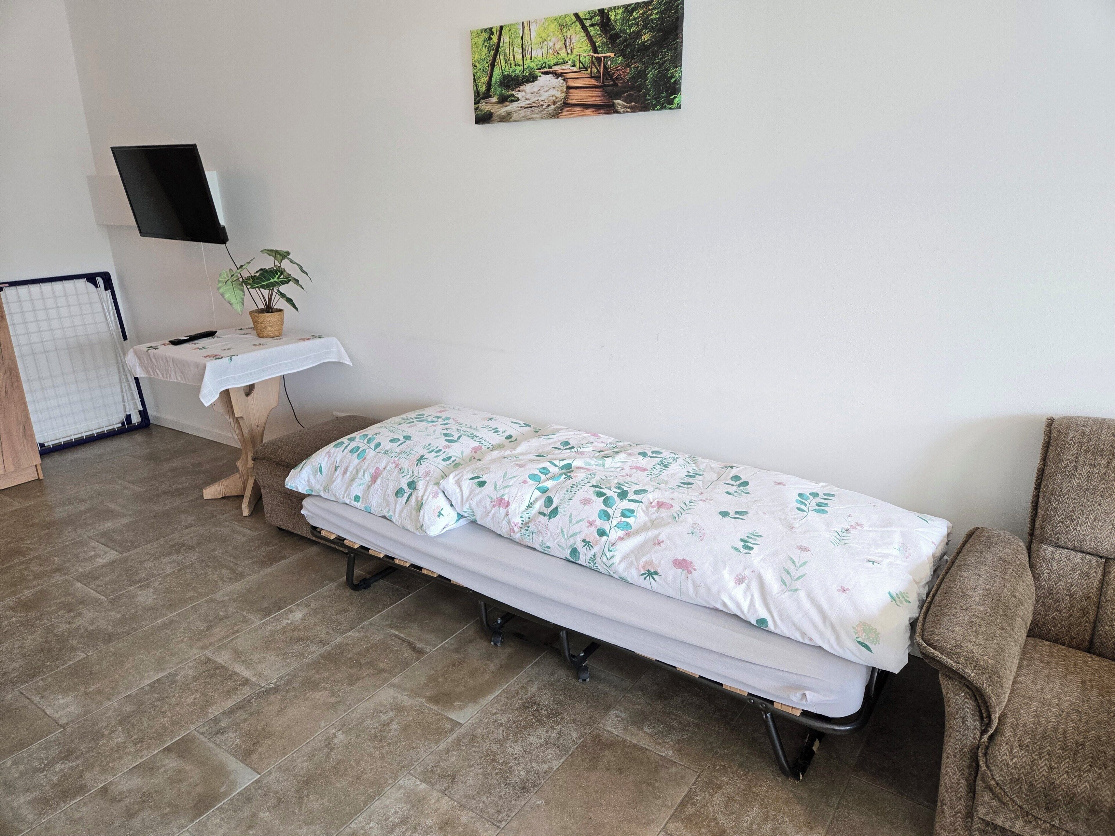 Un letto singolo con copripiumino floreale, un tavolino con una pianta, una televisione a parete e una sedia.