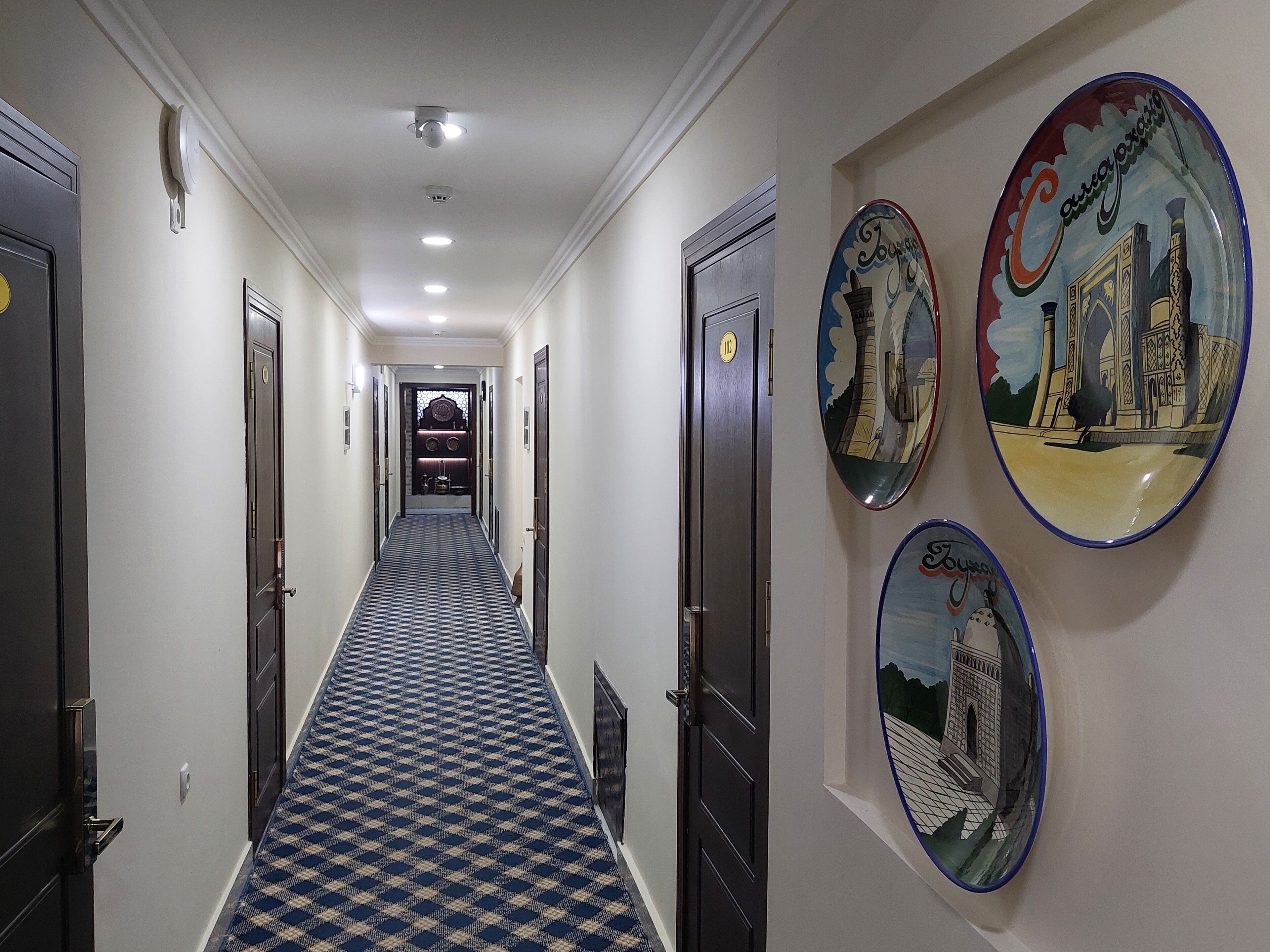 A hotel hallway with a checkered carpet, multiple doors, and wall-mounted decorative plates.