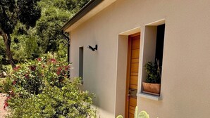 Ein Kaktus im Topf vor einem Gebäude mit Tür und Fenster.