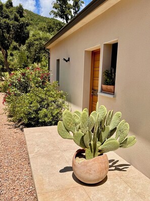 Un cactus dans un pot, placĂ© devant un bĂątiment dotĂ© dâune porte et dâune fenĂȘtre.