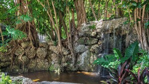 A natural rock formation with a small waterfall and a pond, surrounded by dense foliage and trees.