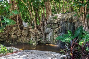 Àrea exterior de l'allotjament