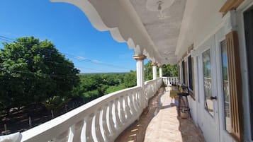 House | Property grounds