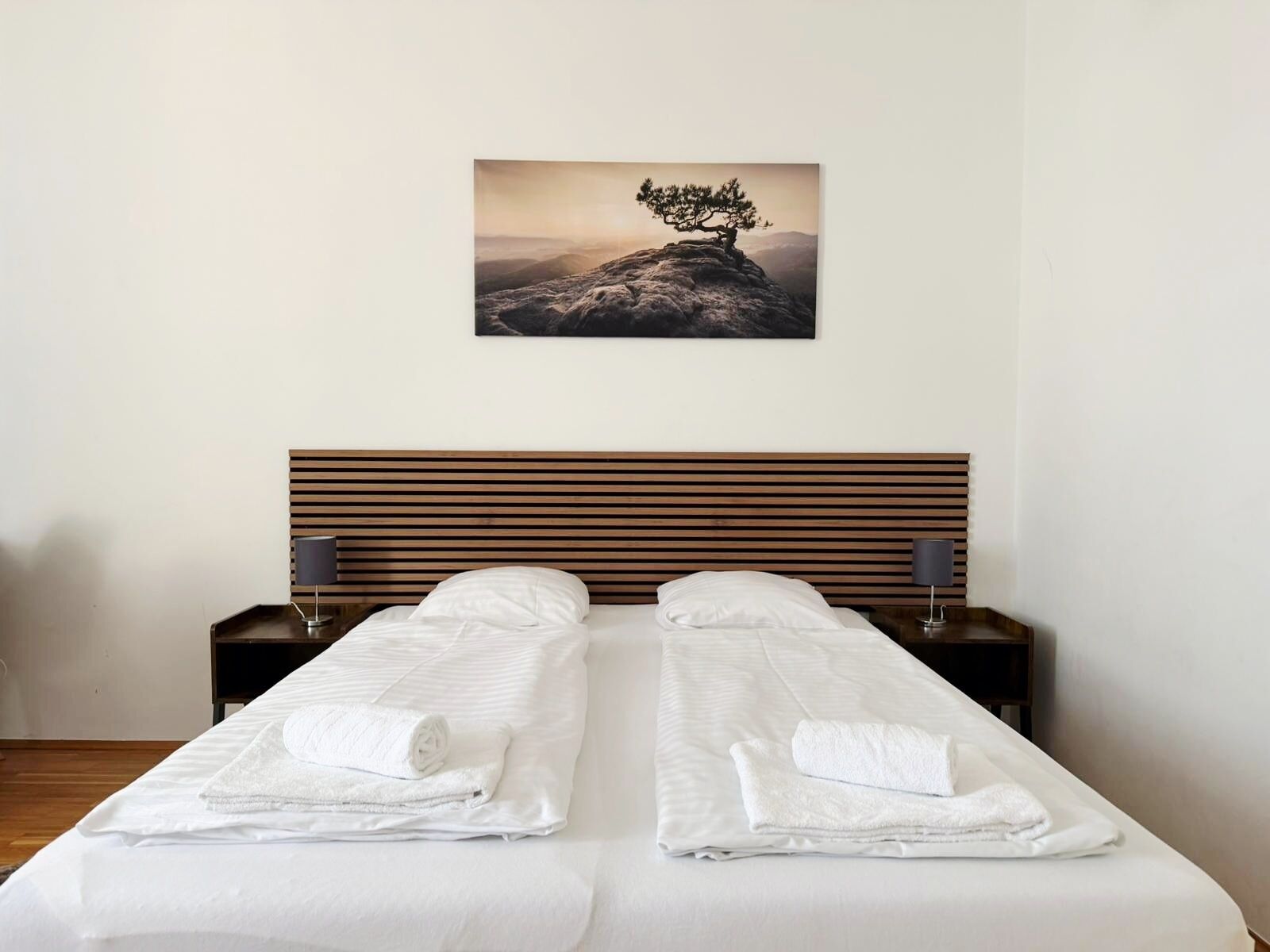 A double bed with white linens and towels, a wooden headboard, bedside tables with lamps, and a framed picture of a tree on a mountain.