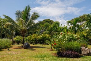 Um jardim tropical com palmeiras, diversas plantas e céu claro.