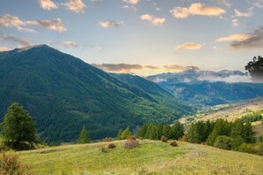 A mountainous landscape with dense forests and a valley. - Grange Hike Ski - 7C Sestriere (Sauze di Cesana)