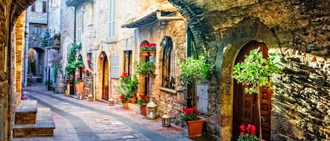 Apartment | 1 bedroom