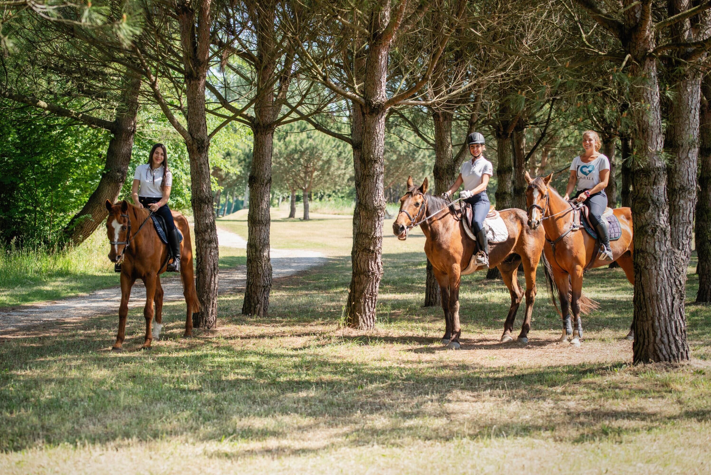 Three people riding horses on a path surrounded by trees.