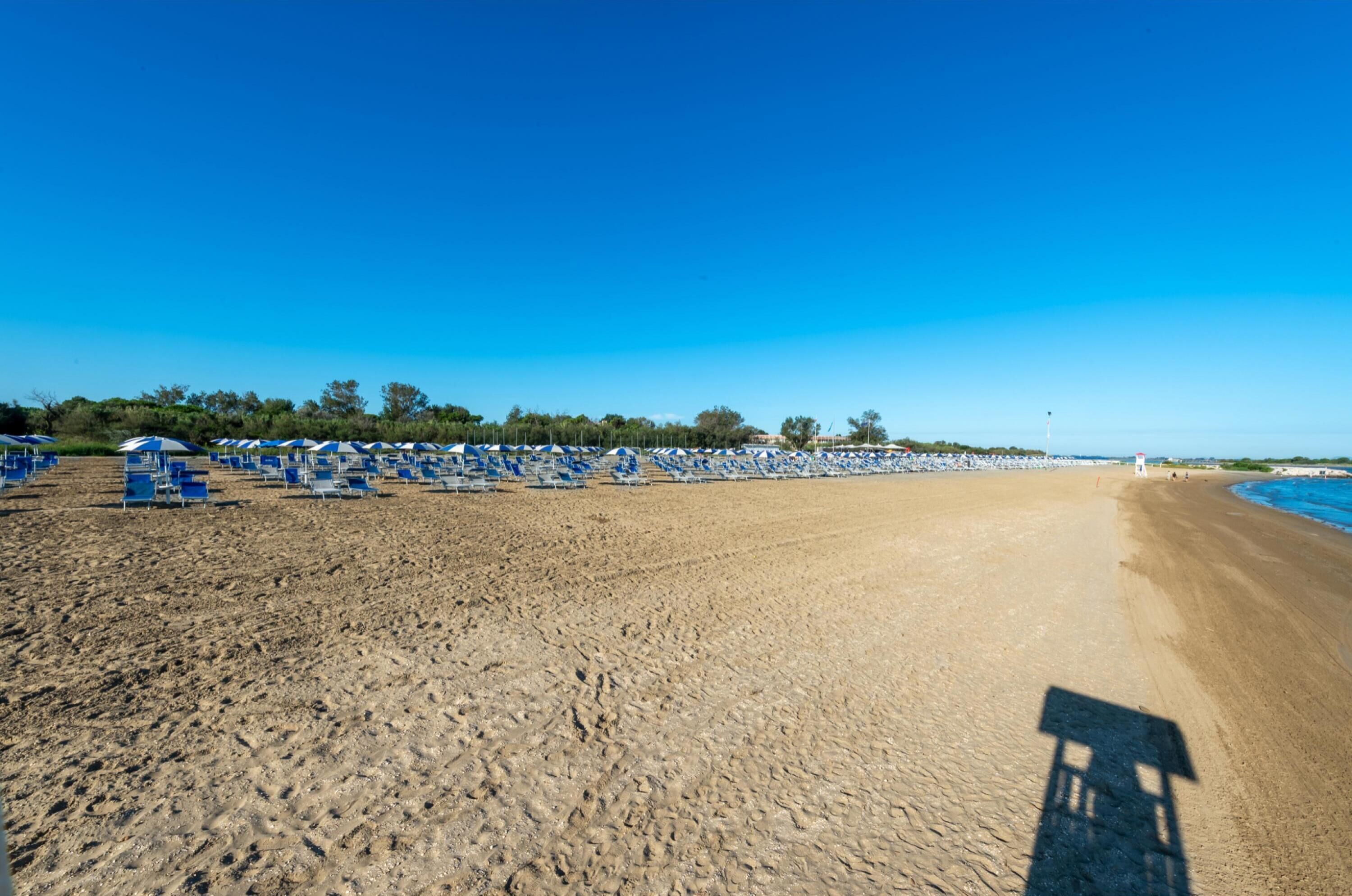 A beach with rows of blue beach chairs and umbrellas, a sandy shore, and a clear blue sky.