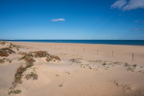 A sandy beach with sparse vegetation and a fence running parallel to the shoreline.