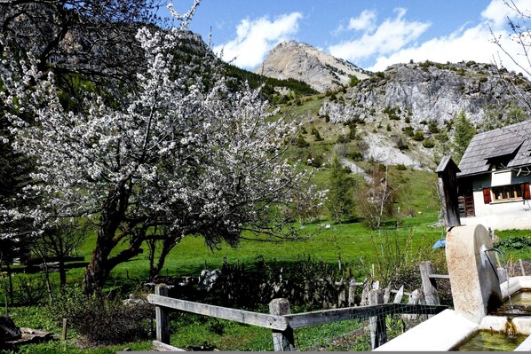 Room - Il Nido di Elda few Steps From Skiing (Bardonecchia)