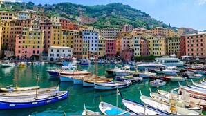 A marina with numerous boats docked, surrounded by colorful buildings and a hillside in the background. - Central Flat in Camogli (Camogli)