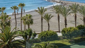 A beach with palm trees and a rocky shoreline. - Algarrobo Costa in Algarrobo-costa (Algarrobo)