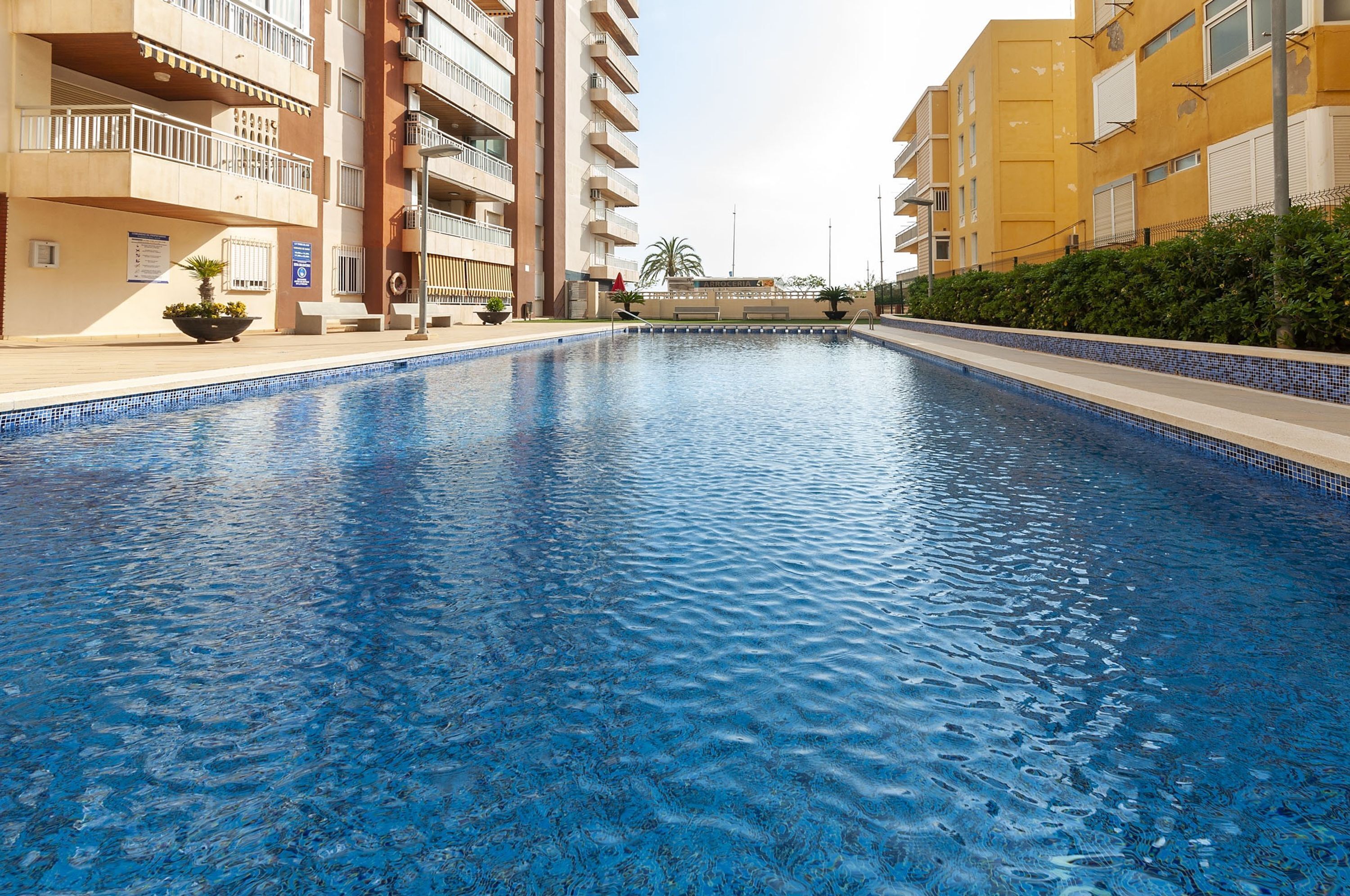 A swimming pool with a tiled edge, surrounded by multi-story buildings with balconies and a palm tree in the background.