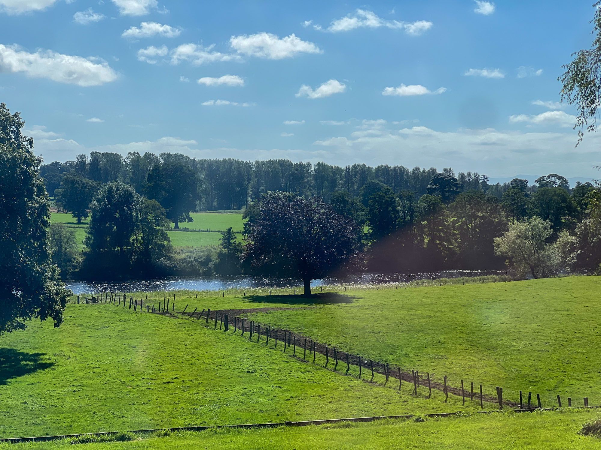 A rural landscape with a grassy field, a small body of water, and a tree in the foreground.