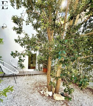 Unclassified image, 5 of 25, button - Euphonia Deluxe room with garden view welcomes you to a relaxing environment (Lecce)