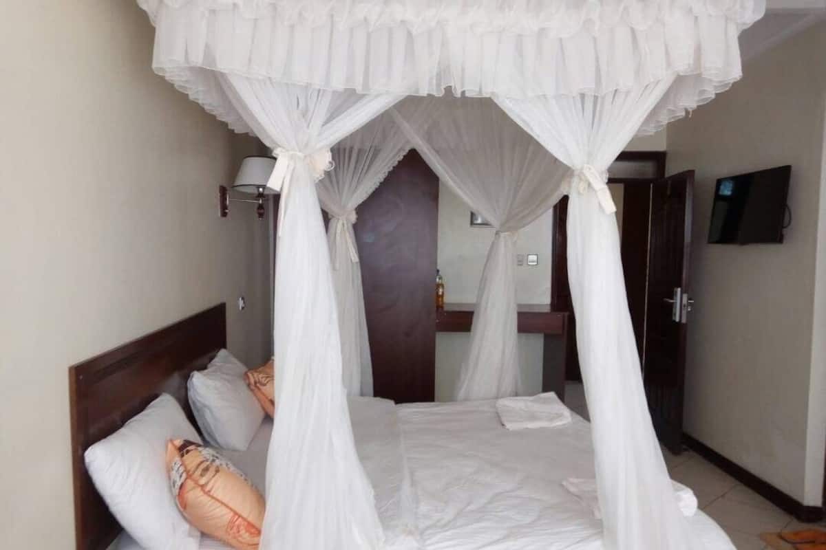 A hotel room with a bed under a canopy, a television on the wall, and a door in the background.