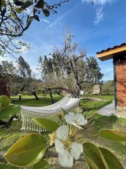 Quinta La Morena, Country house with pool and bbq