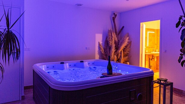 A room with a hot tub, a potted plant, and a doorway leading to a bathroom. - Charming house in the heart of the village La nuit étoilée (Saint-Martin-de-Crau)