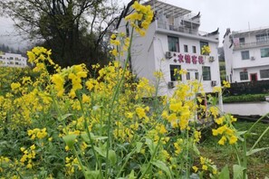 Unclassified image, 2 of 71, button - nqkz (Wuyuan)