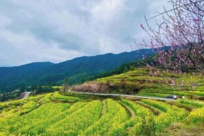 Unclassified image, 5 of 71, button - nqkz (Wuyuan)