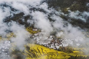Immagine non classificata, 4 di 71, pulsante