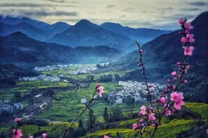 Unclassified image, 3 of 71, button - nqkz (Wuyuan)