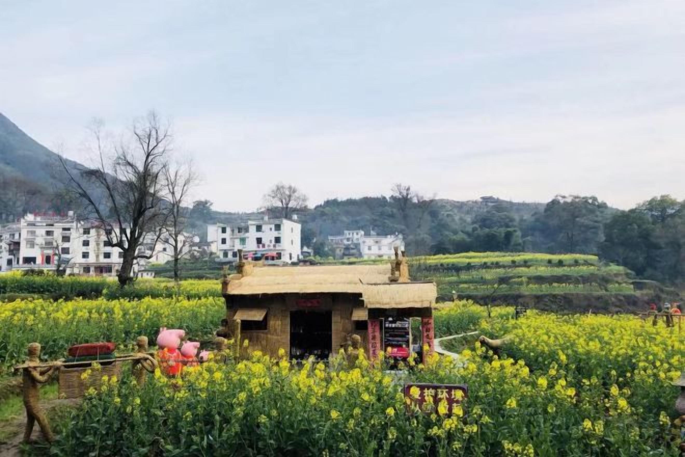 Un paysage rural avec un petit bâtiment traditionnel entouré de champs de fleurs jaunes, et des habitations en arrière-plan.
