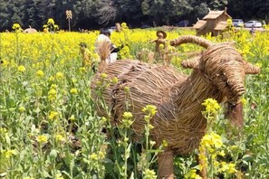 Immagine non classificata, 3 di 71, pulsante
