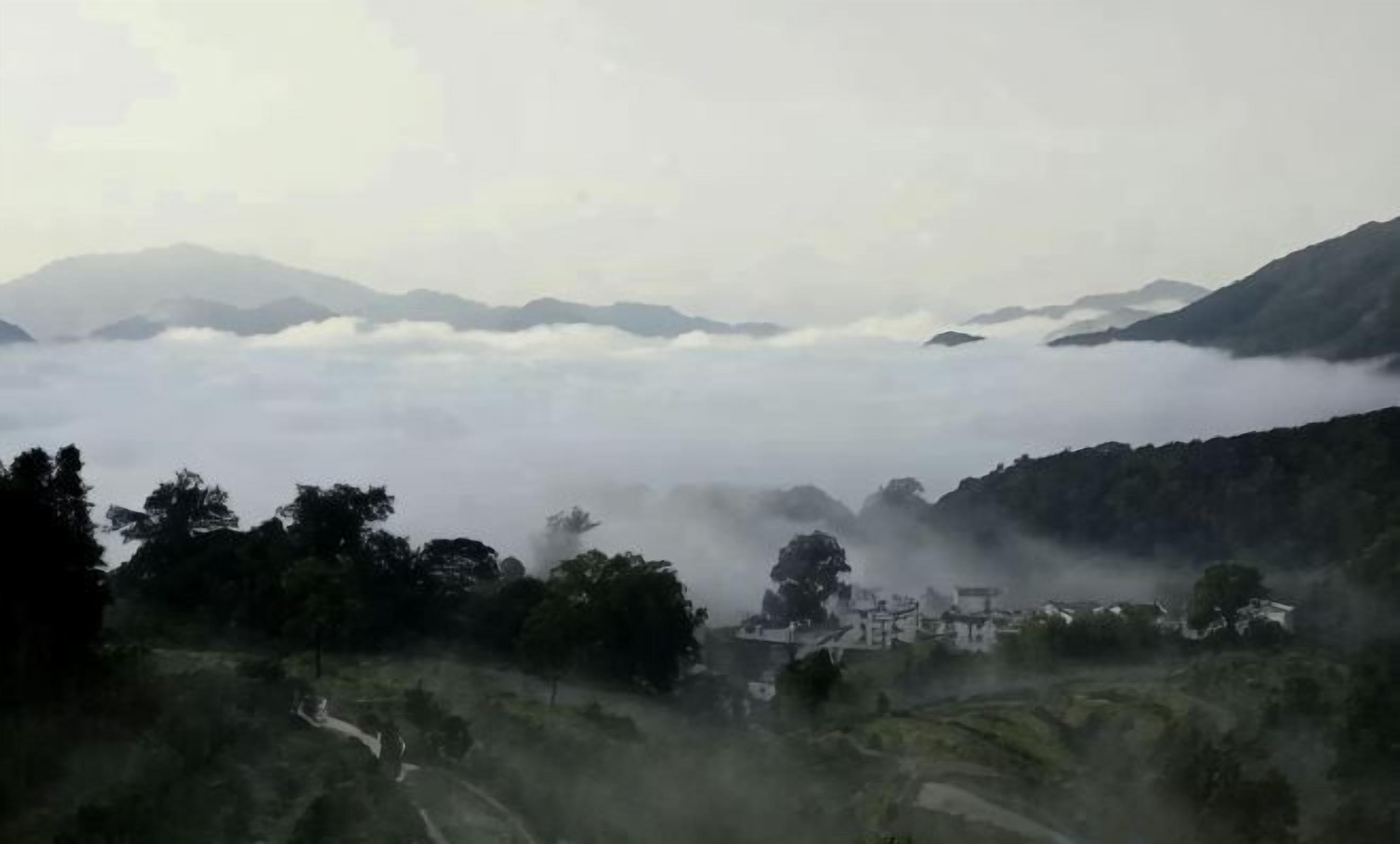 Imagen general