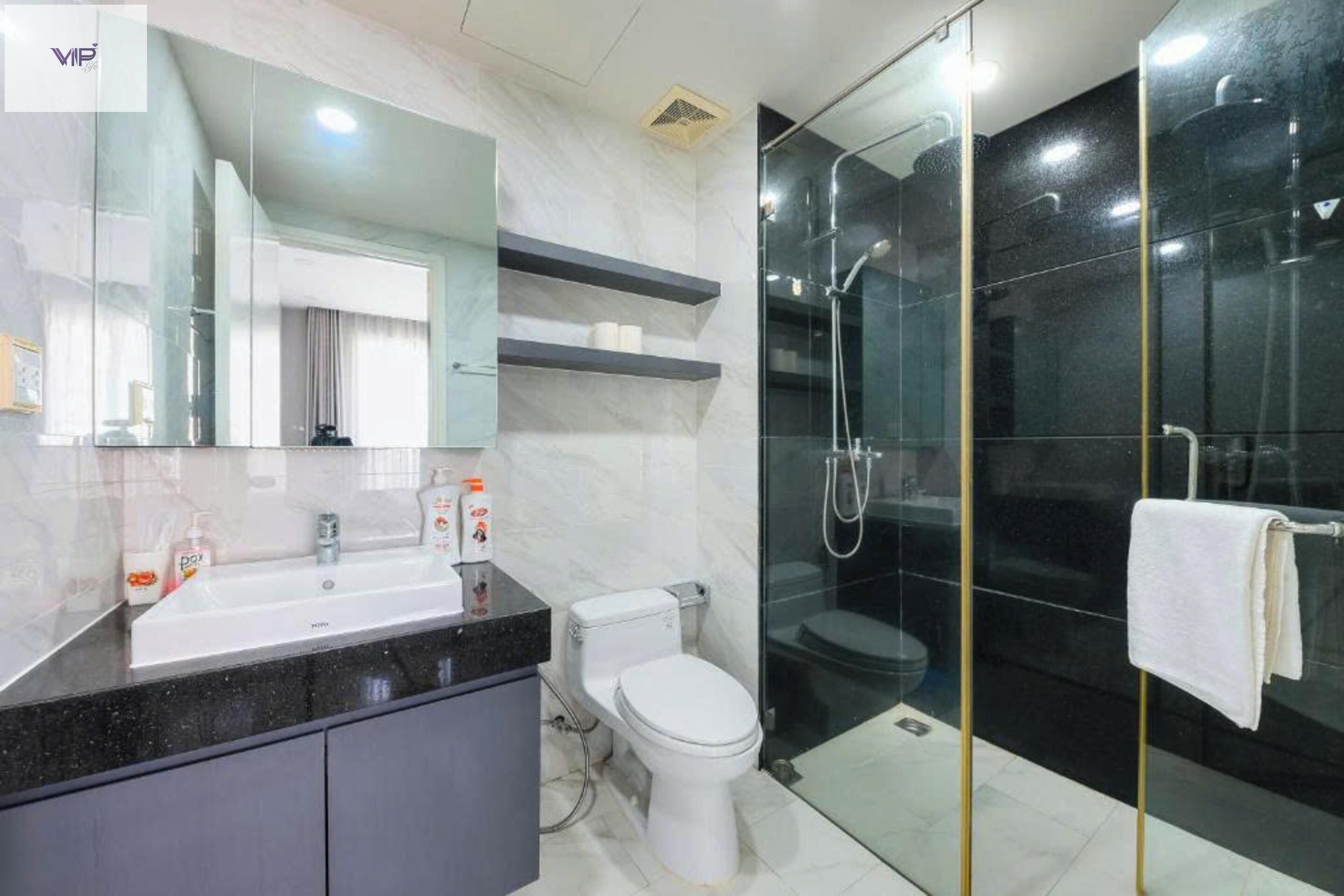 A modern bathroom with a glass-enclosed shower, a white toilet, and a vanity with a mirror and countertop.