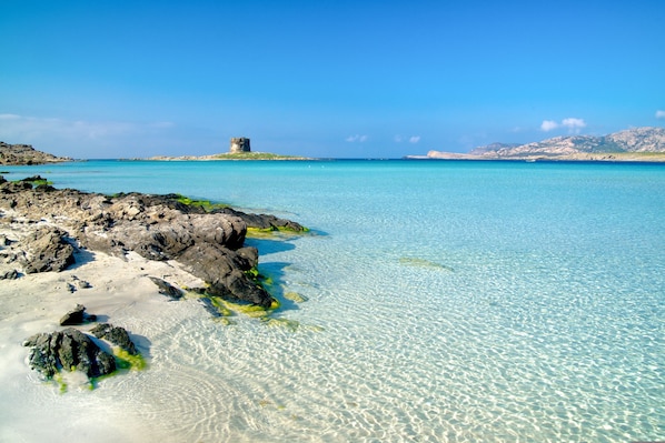 Apartment | 2 bedrooms - Dimora Oleandro 50mt From Beach (Stintino)